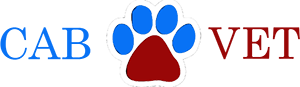 logo soft veterinar CAB-VET